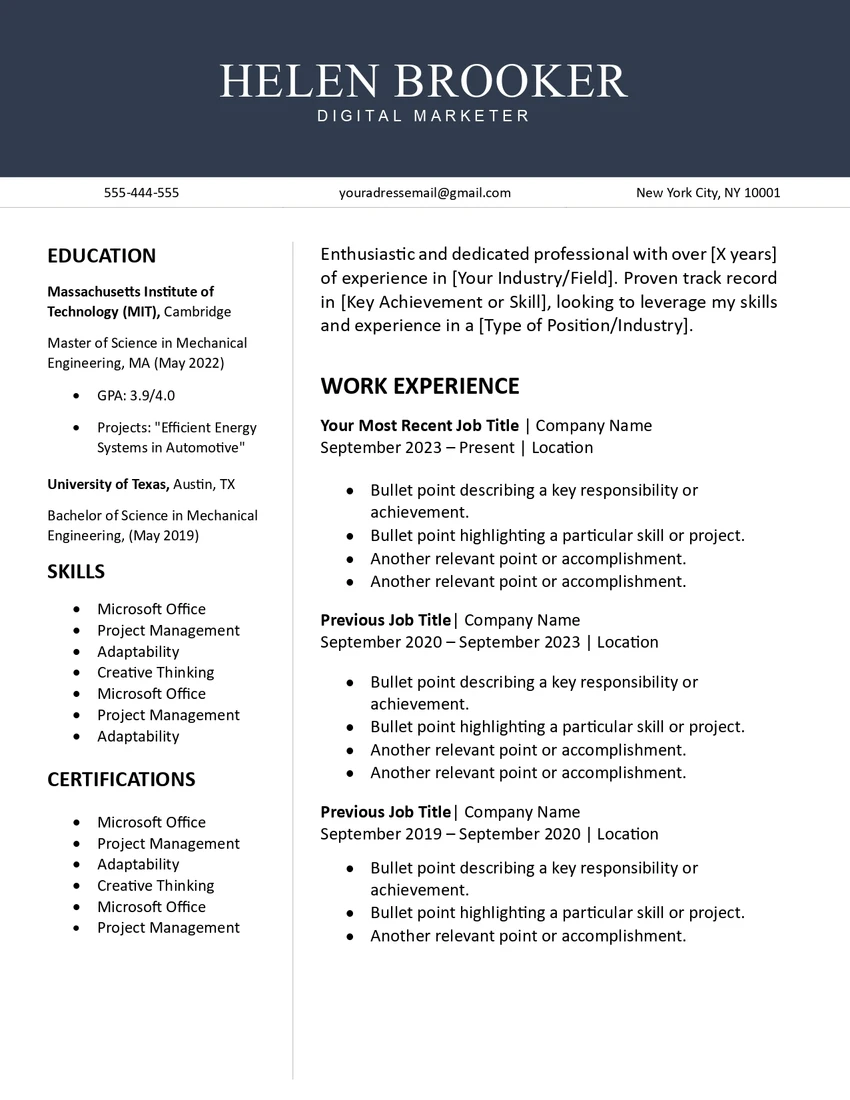Professional Resume